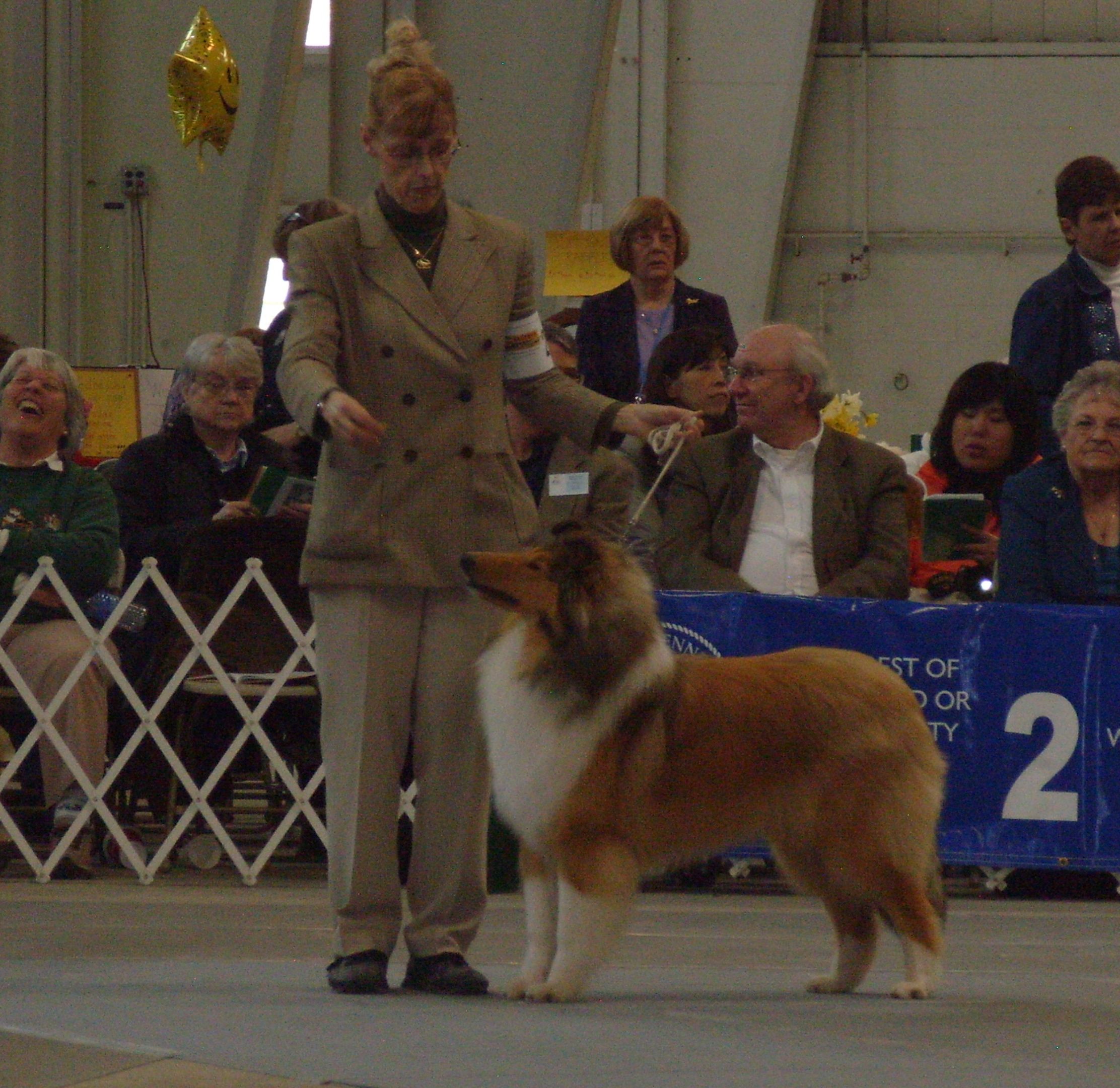 Spellbound Future Investments (Dexter) at CCA National - 2009