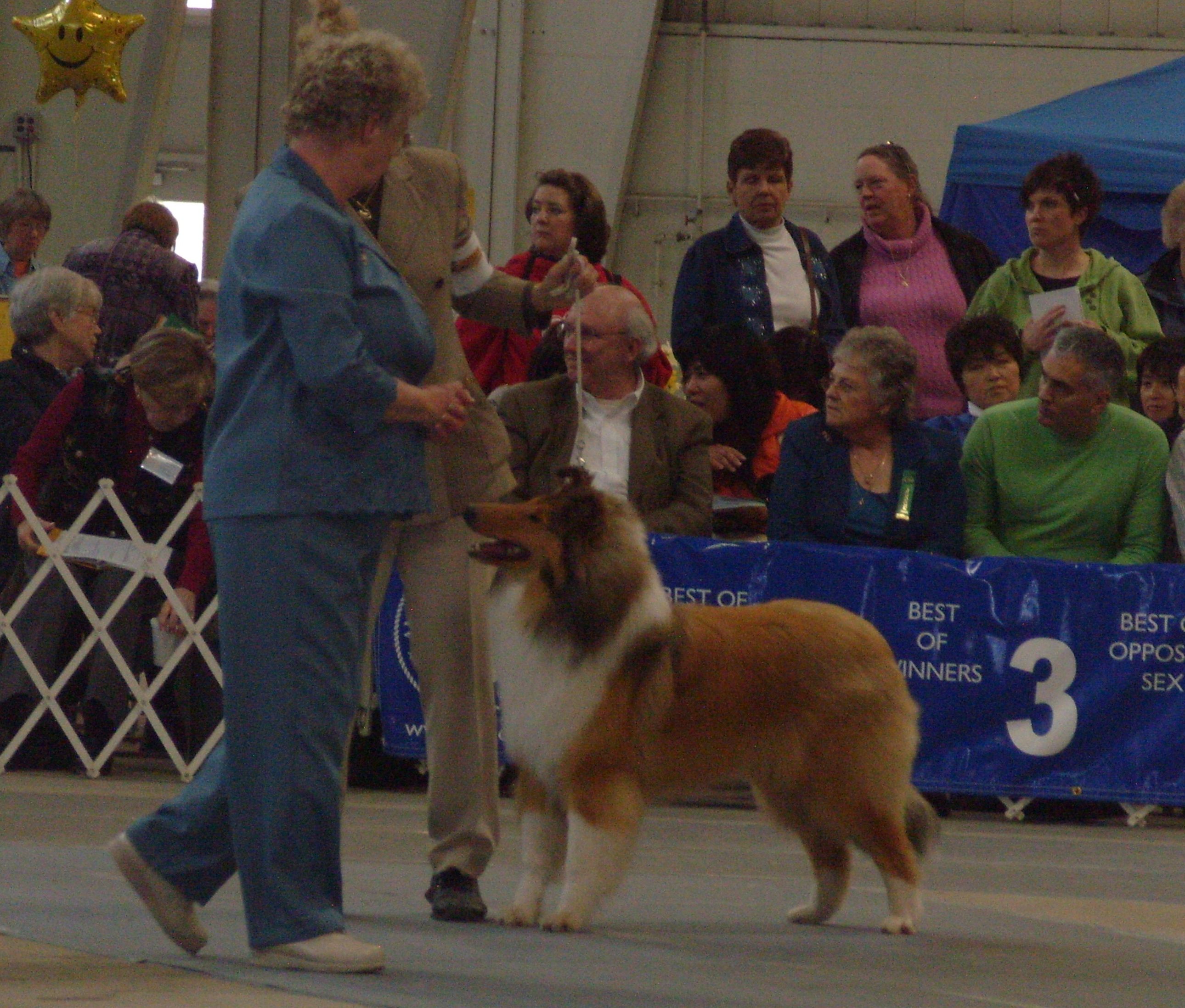 Spellbound Future Investments (Dexter) at CCA National - 2009
